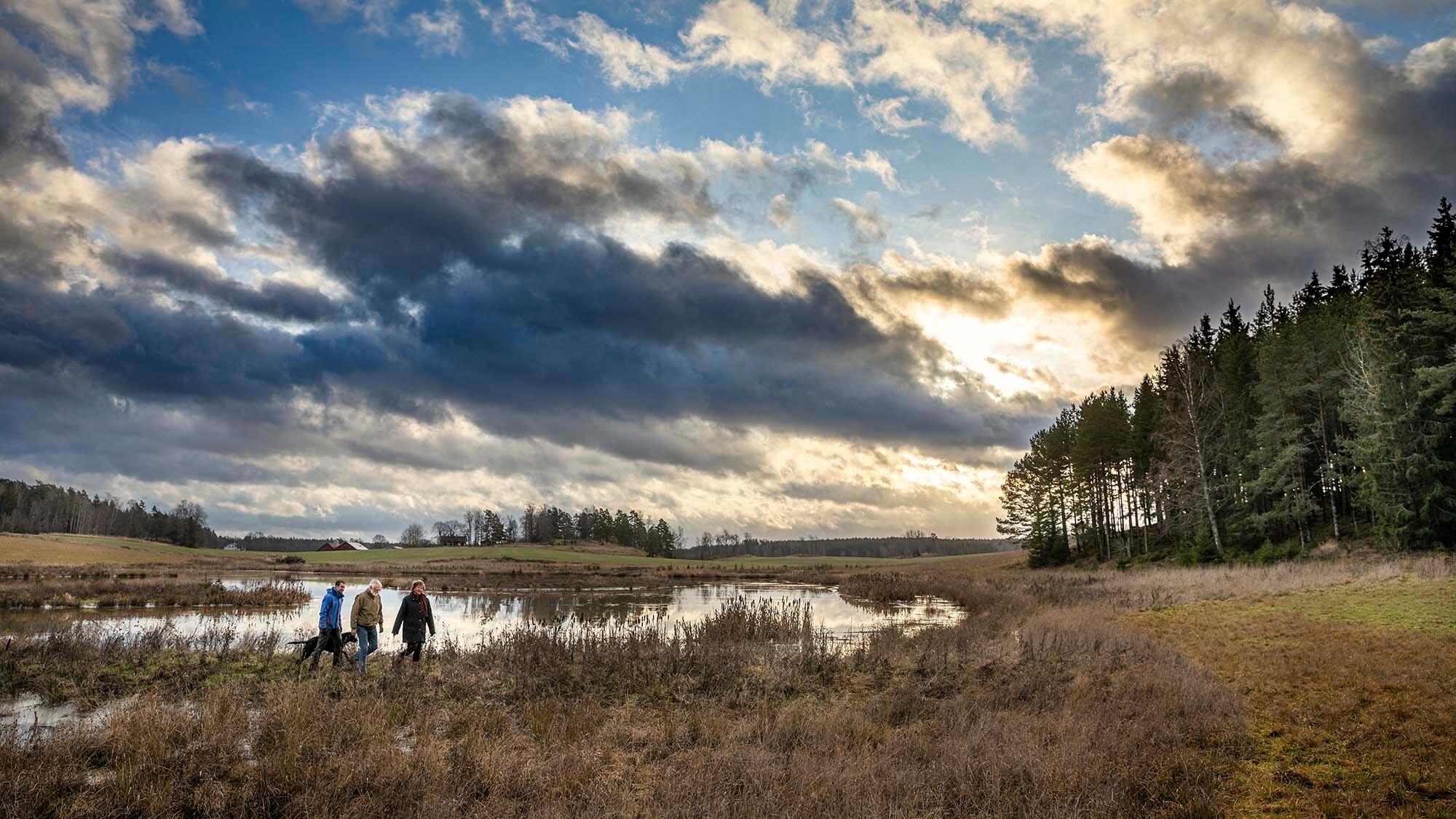 Cap Man picture: A beautiful landscape in a swampy environment with people and a dog walking.
